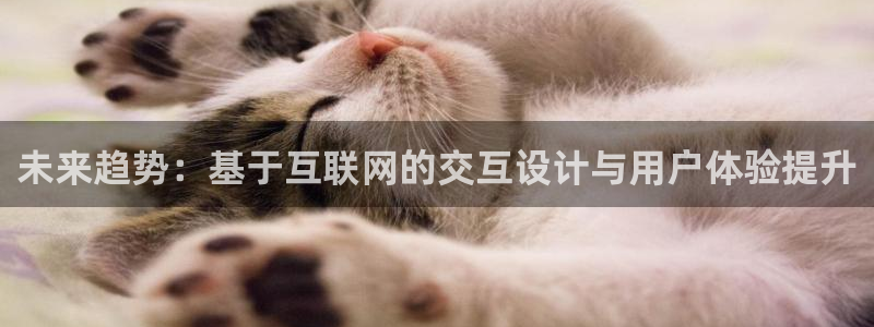 正规辉达娱乐开户注册