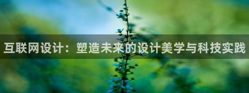 信誉辉达娱乐在线游戏