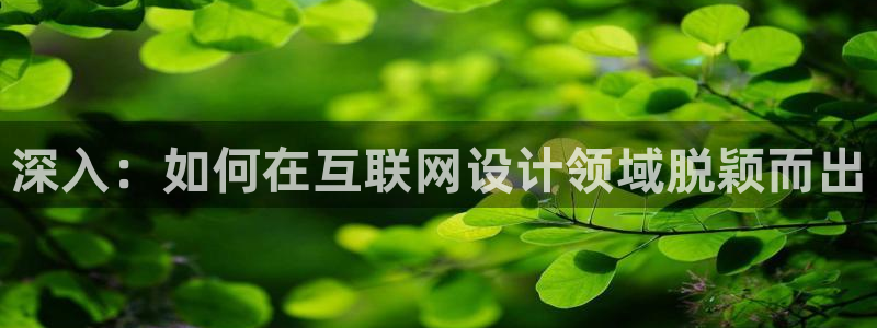 辉达平台娱乐怎么样