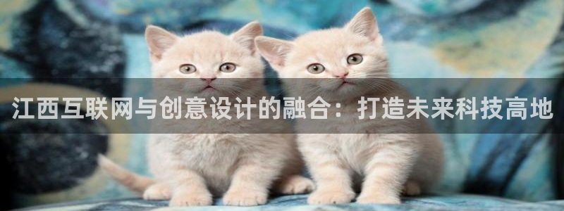 辉达娱乐最新消息新闻