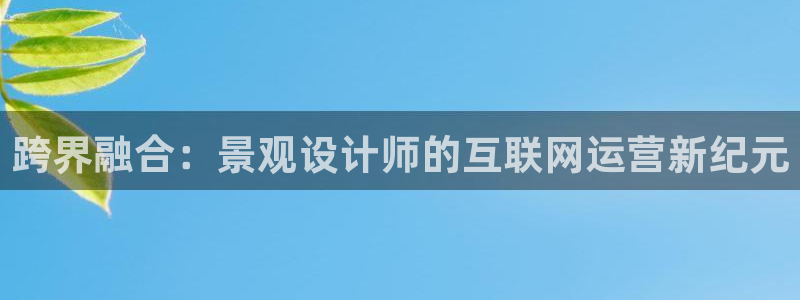 辉达娱乐多少年