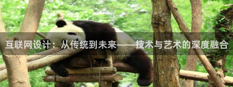 辉达娱乐体育竞猜