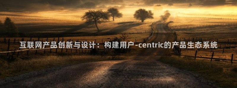 龙腾辉达电子娱乐