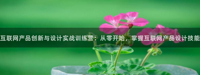 代理辉达娱乐平台