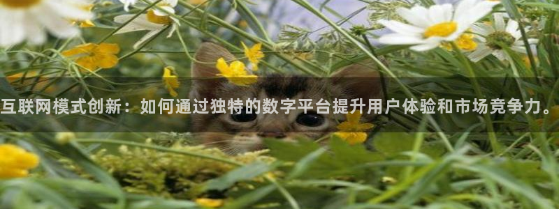 辉达娱乐最新消息新闻