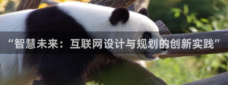 辉达娱乐五75505