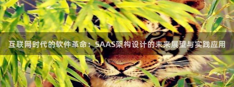 辉达娱乐计划软件