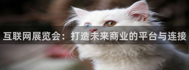 辉达娱乐属于什么档次