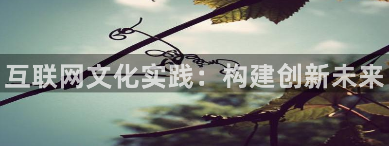 辉达娱乐网址