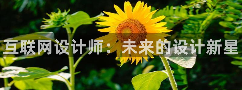 达娱乐辉70667