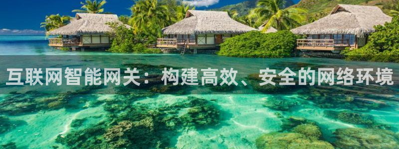 辉达娱乐线路检测：互联网智能网
