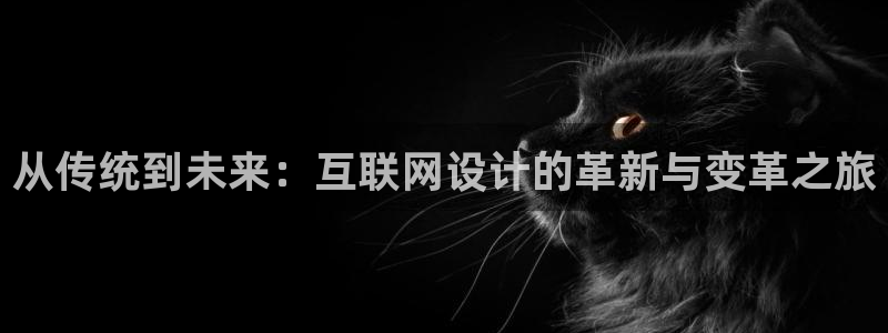 龙腾辉达电子娱乐：从传统到未来