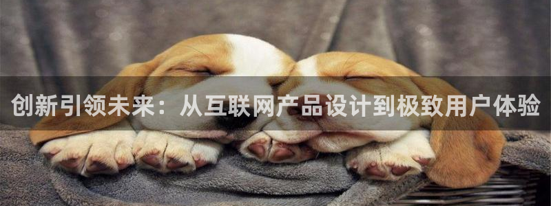 辉达娱乐公司