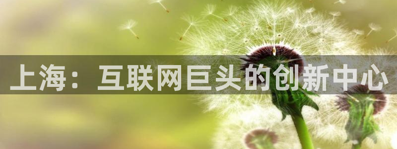 辉达平台注册资金多少