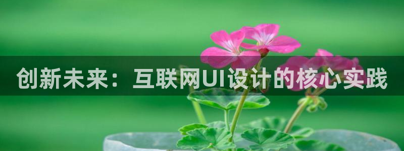 辉达娱乐丿75505