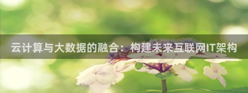 辉达娱乐