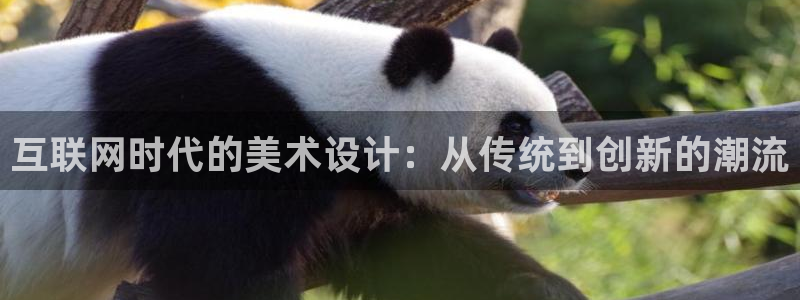 辉达娱乐招商
