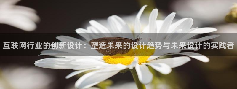 辉达官网登录入口入口：互联网行