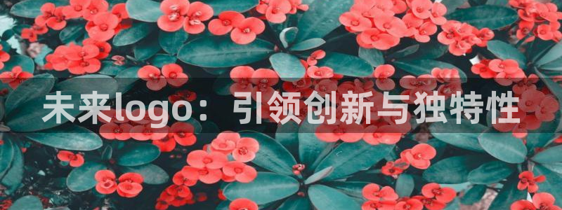 恒达娱乐辉70667：未来lo