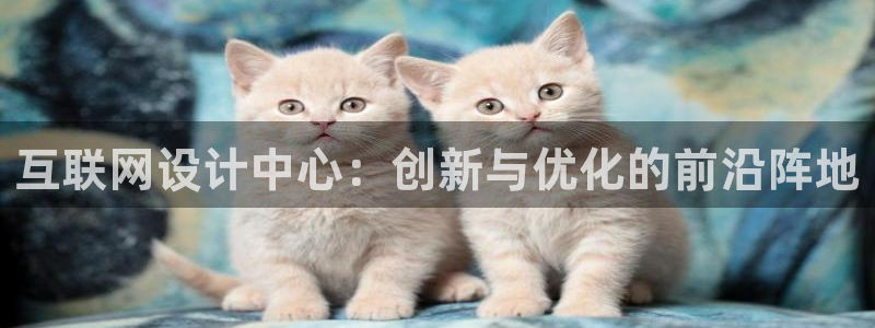 辉达娱乐属于什么档次