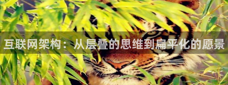 正规辉达娱乐平台：互联网架构：