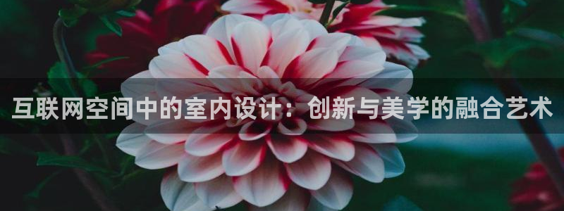 辉达平台官网首页
