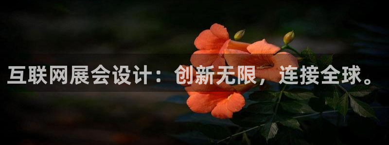 辉达娱乐福彩