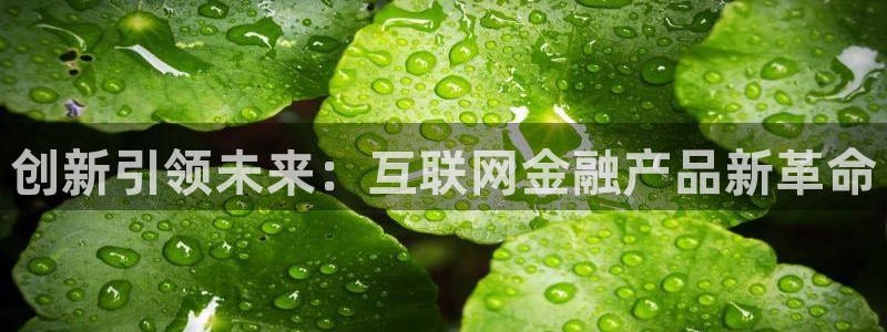 专业辉达娱乐官方网址
