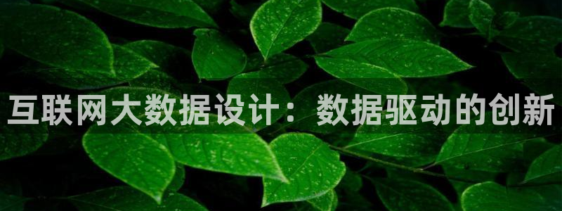 达利娱乐王辉