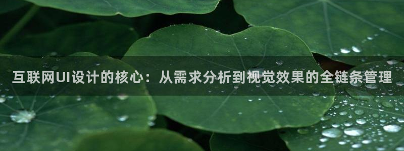专业辉达娱乐在线游戏：互联网U
