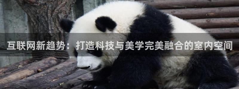 辉达娱乐开户注册