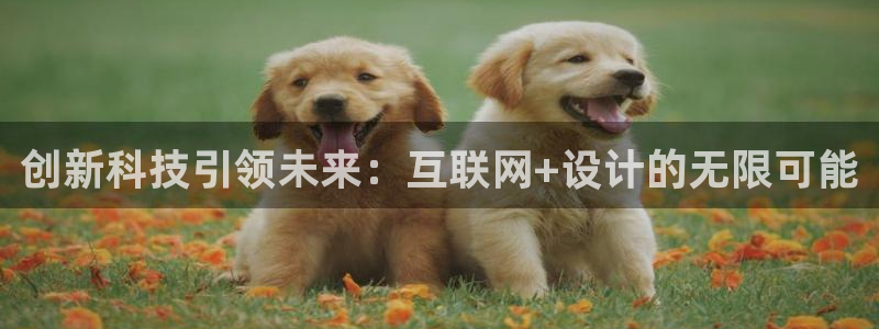 信誉辉达娱乐平台