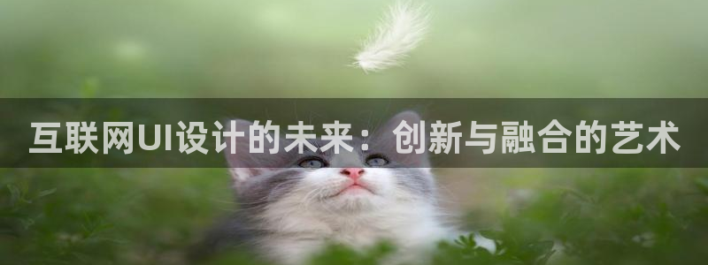 辉达平台娱乐怎么样