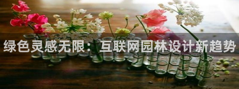 辉达娱乐五75505