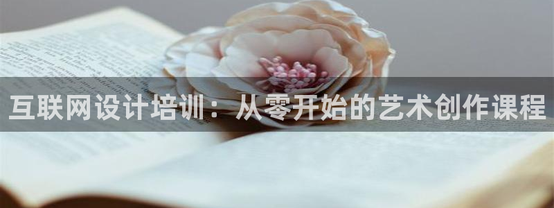 辉达平台官网电话