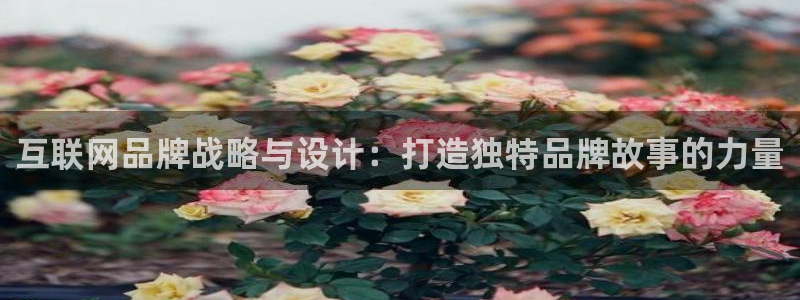 达娱乐辉70667：互联网品牌