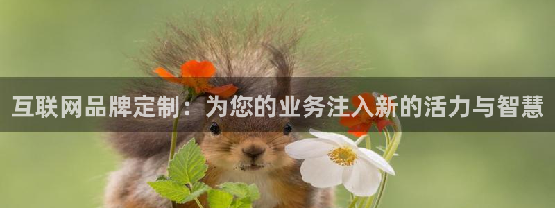 信誉辉达娱乐在线游戏