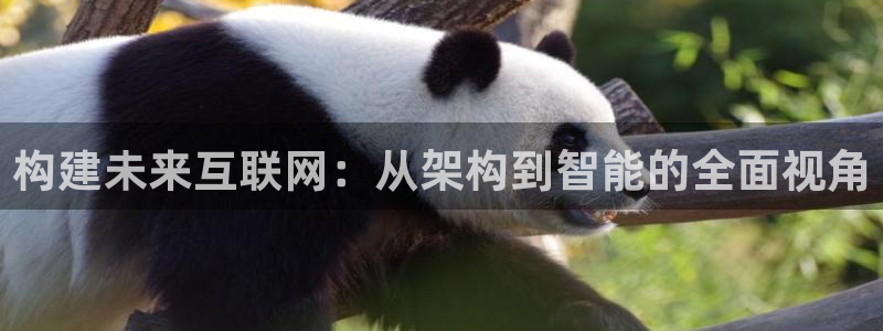 信誉辉达娱乐开户注册