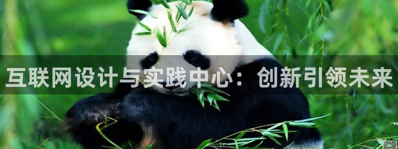 信誉辉达娱乐：互联网设计与实践