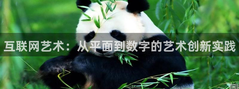 辉达官网登录入口入口