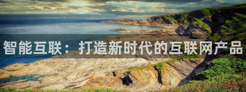 辉达集团官方网站