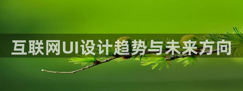 辉达娱乐己39444