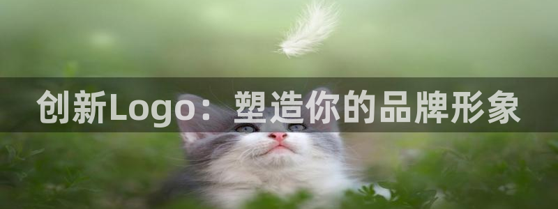 辉达平台注册资金多少