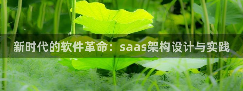 辉达平台注册流程