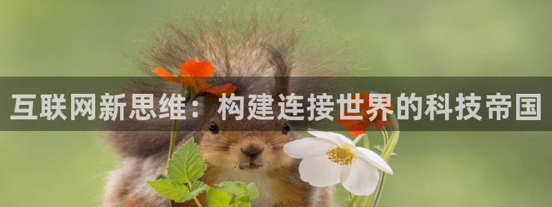 辉达平台注册流程