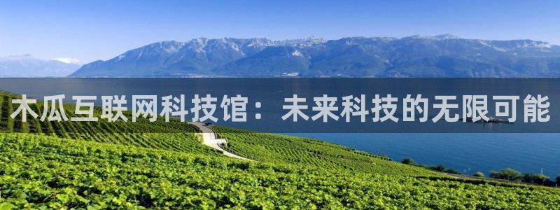 辉达娱乐丿39444