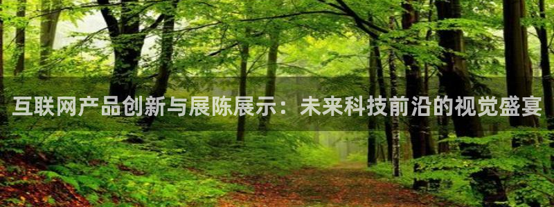 专业辉达娱乐在线游戏：互联网产