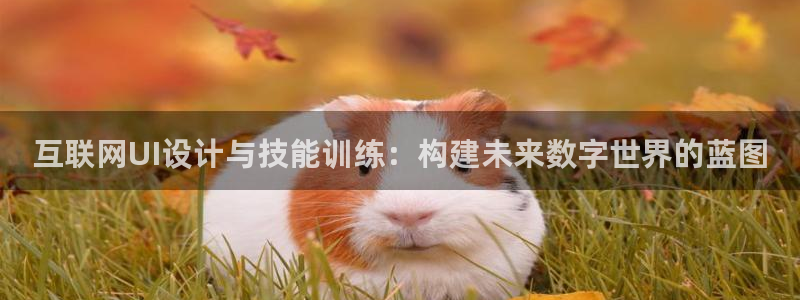 辉达娱乐加扣75775