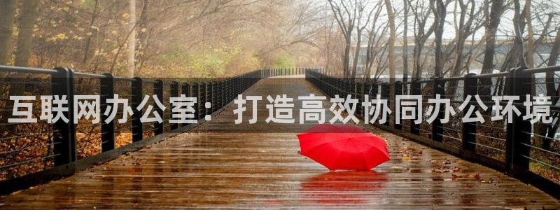 辉达平台注册资金多少