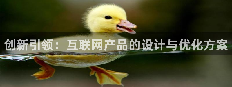 辉达娱乐时时彩平台